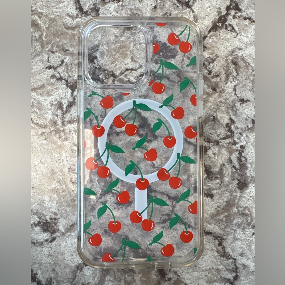 iPhone 14 Pro Max otter box case